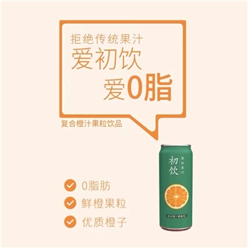 500ml初饮-复合橙汁果粒饮品