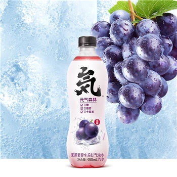 元气森林夏黑葡萄苏打气泡水（480ml）